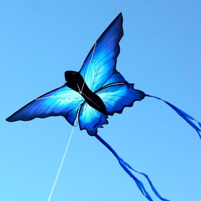 Ocean Breeze Kites Ulysses Butterfly