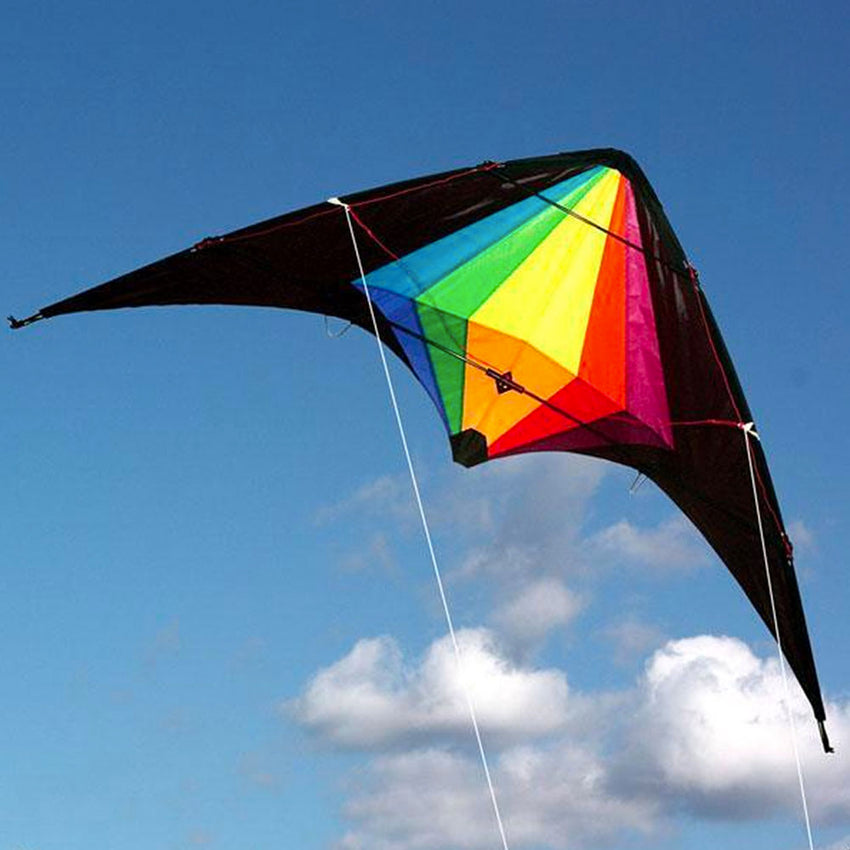Ocean Breeze Kites Black Widow