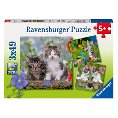 Ravensburger - Kittens - 3 x 49 Piece