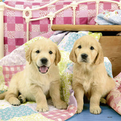 Ravensburger - Cute Puppy Dogs - 3 x 49 Piece