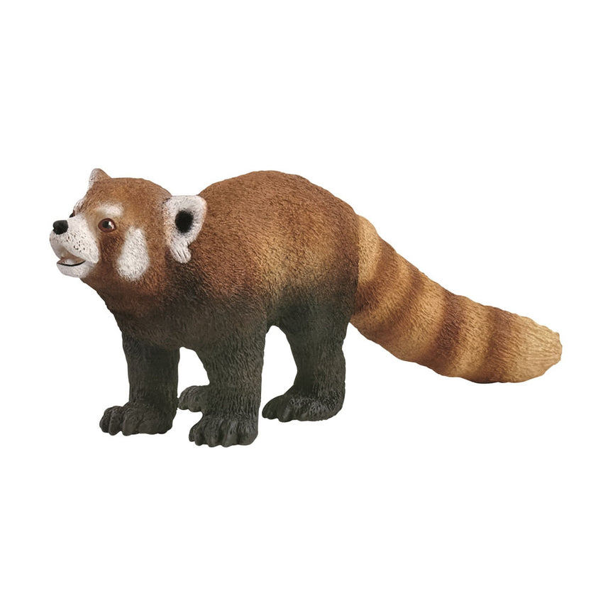 Schleich Red Panda – ToyWorld Weir Group