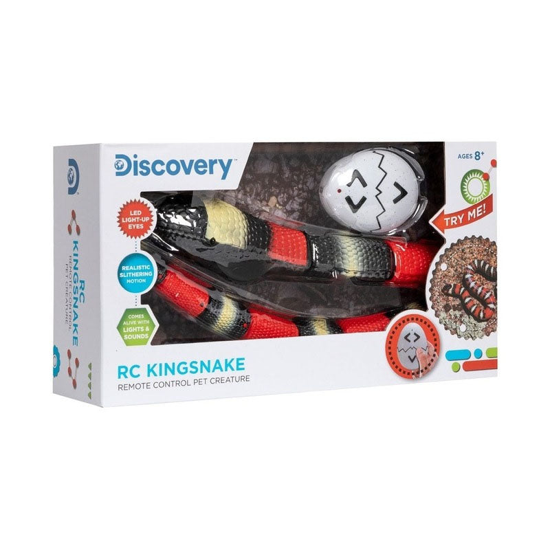 Discovery - King Snake