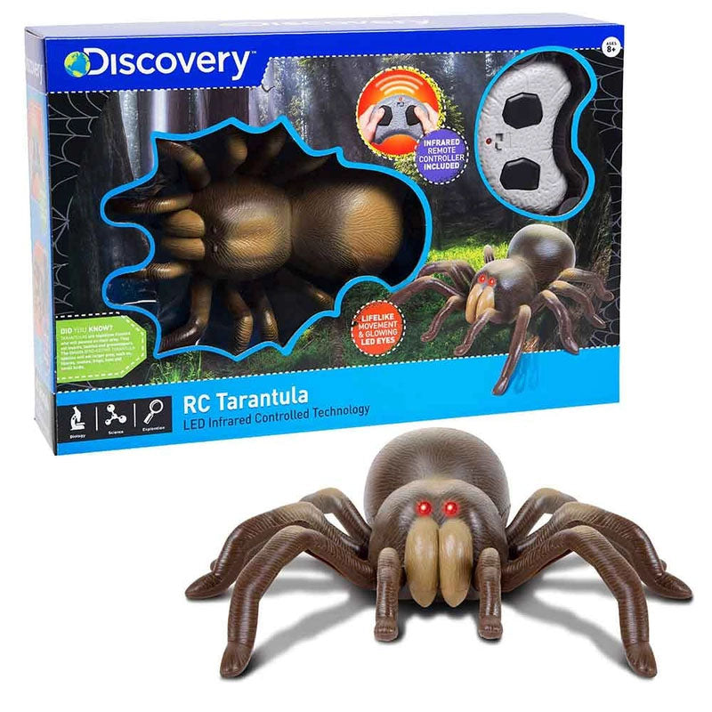 Discovery - Tarantula